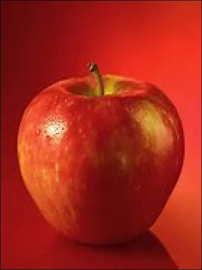 À qui cela appartient ?