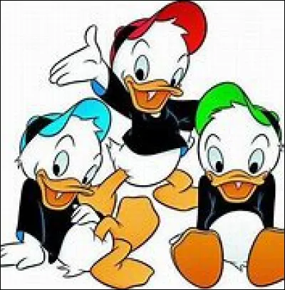 Comment s'appellent-ils ?