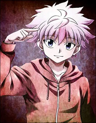 Comment s'appelle la sœur de Kirua ? ("Hunter × Hunter")