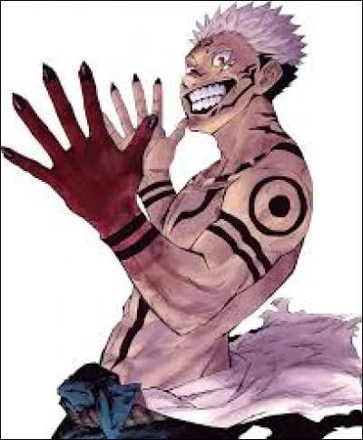 Qui est le fléau qui vit dans le corps de Yūji ? ("Jujutsu Kaisen")