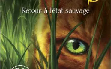 Quiz La guerre des clans