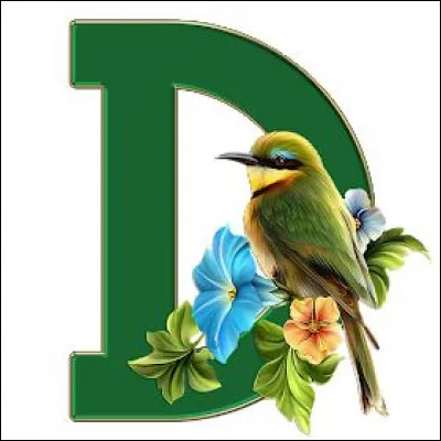 Daube : quelle différence fait-on entre la daube provençale et la daube avignonnaise ?