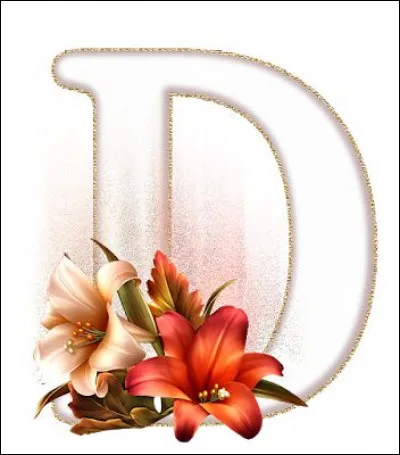 Doha : de quel pays est-elle la capitale ?