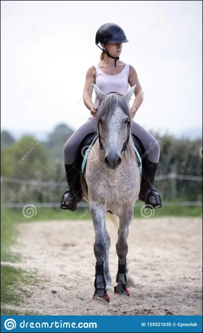 Quel sport fais-tu ?