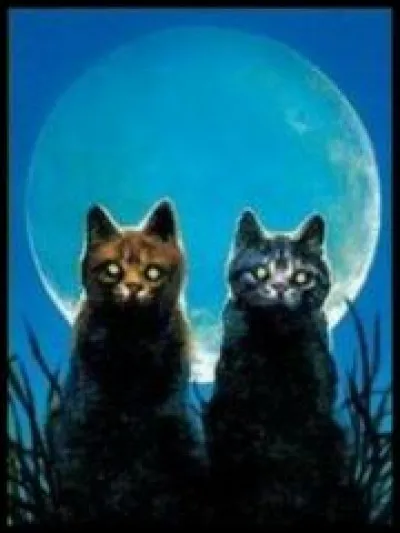 Quels sont les noms de guerriers de Nuage de Feu et Nuage Gris ?