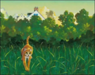 Quel est le premier chat que Rusty rencontre lorsqu'il s'aventure dans la forêt ?