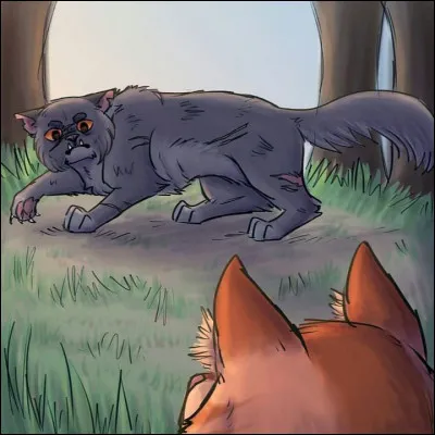 Sur qui Nuage de Feu tombe-t-il lors d'une partie de chasse ?