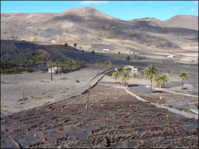 Comment dit-on "belle-mère" en anglais ?