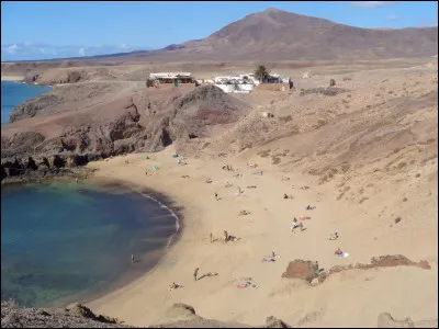 Quel lien de parenté unit le tennisman Rafael Nadal et Toni Nadal, son entraîneur jusque fin 2017 ?