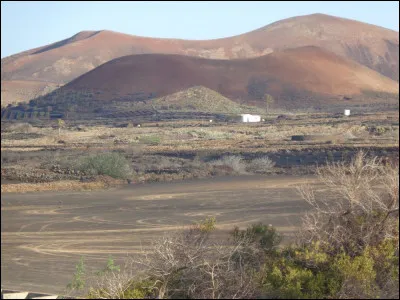 Dans la langue française, que peut-on dire des mots "tante" et "tente" ?