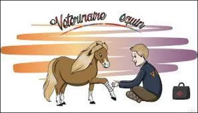 Tu entres dans l'écurie, tu vois plein de chevaux. Le propriétaire te demande : "que fais-tu jeune fille (ou jeune garçon) ? Tu devais aller dans la grande salle." Que réponds-tu ?