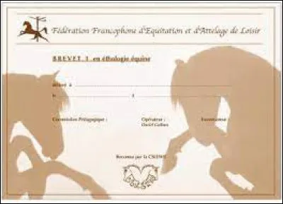 Tu vas enfin savoir quel métier tu vas pouvoir faire. Mais, la directrice viens vers toi et te dit : "une dernière question avant que tu saches ton métier. As-tu aimé élever des chevaux ?". Que réponds-tu ?