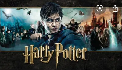 Qu'y a-t-il entre Voldemort et Harry Potter ?