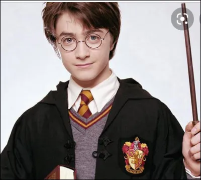 Harry a des meilleurs amis, ils sont...