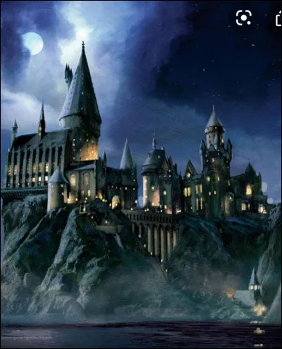 Comment s’appelle l’école de Harry ?