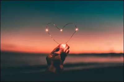 Qui chante "Aimer à perdre la raison" en 1971 ?