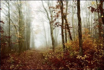 Quel signe marque l'équinoxe d'automne ?