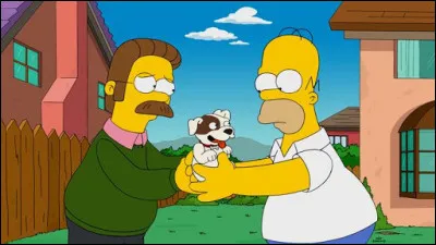 Comment s'appelle le chien des Flanders ?