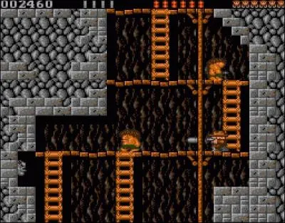 Quel est le titre de ce jeu d'aventure / plateforme ?