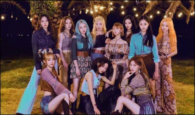 Quel type de couleur préfères-tu ?