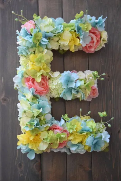 Épaulard : qu'est-ce ?