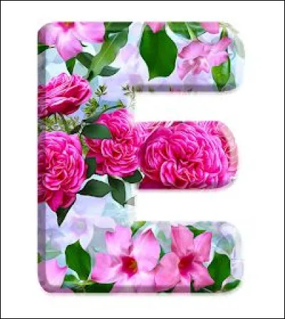 Épaule : lequel ne fait pas partie des os de l'épaule ?