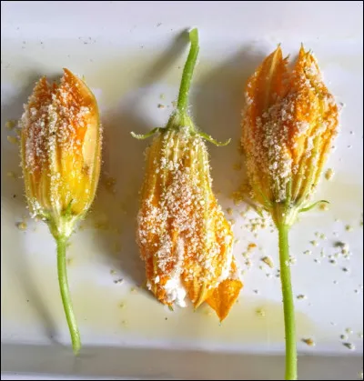 Quel est cet aliment salé ?