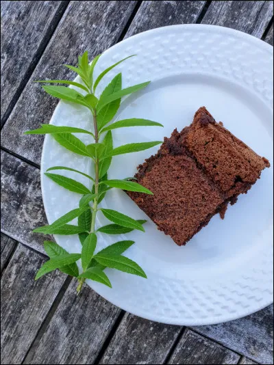 Quel est ce merveilleux gâteau ?