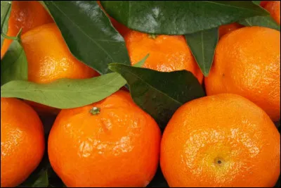 Ce fruit est issu d'une orange et d'une mandarine.