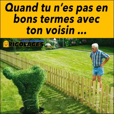 Les deux caractéristiques essentielles de l'Anglais sont l'humour et le gazon. L'Anglais tond toujours son gazon très court, ...