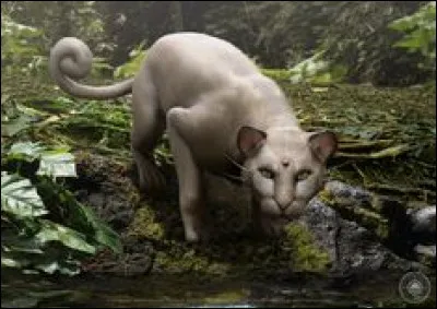 Quel est ce Pokémon ?