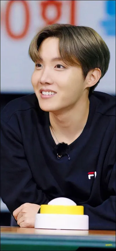 Si BTS n'avait jamais existé, quel métier aurait-il voulu faire ?