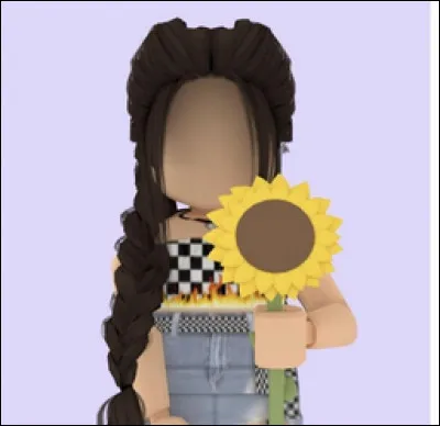 Et enfin, depuis combien de temps joues-tu à Roblox ?