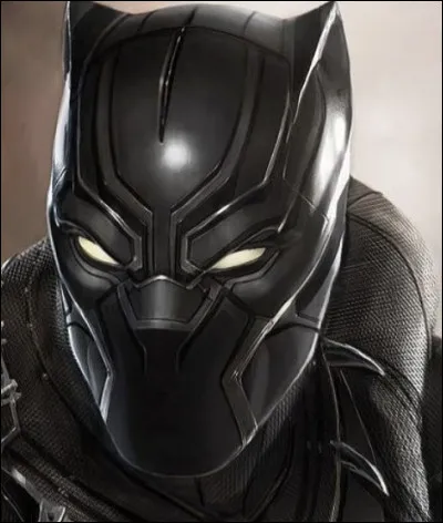 Quelle est la mission de Black Panther ?