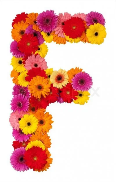 Famille Loud : dans la série télévisée "Bienvenue chez les Loud", combien Lincoln a-t-il de surs ?