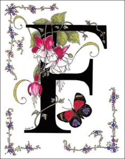 Friandise : lesquelles savourerez-vous si vous allez à Privas ?