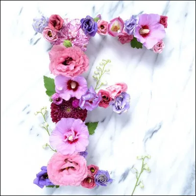 Fragonard : à quel Mouvement le peintre Jean-Honoré Fragonard appartenait-il ?