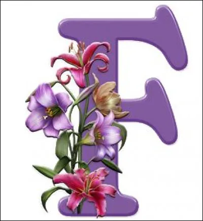 Farigoule : de quoi cette plante est-elle l'autre nom ?