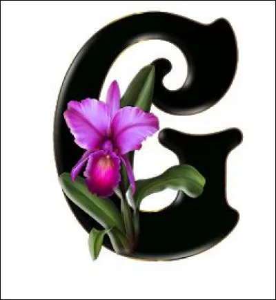 Grand : dans le roman "Le Grand Meaulnes", quel est le nom du narrateur ?