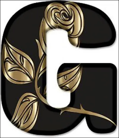 Gabian : sur la côte méditerranéenne, vous entendrez souvent parler des gabians, qu'est-ce que c'est ?