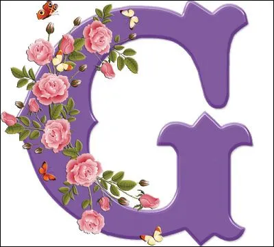 Goulasch : qu'est ce plat d'origine hongroise ?