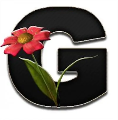 Grenoble : quelle est l'altitude de la capitale des Alpes (au niveau de sa mairie) ?