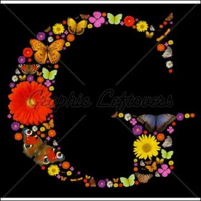 Grande : qui jouait dans le film de Marco Ferreri "La Grande bouffe" ?