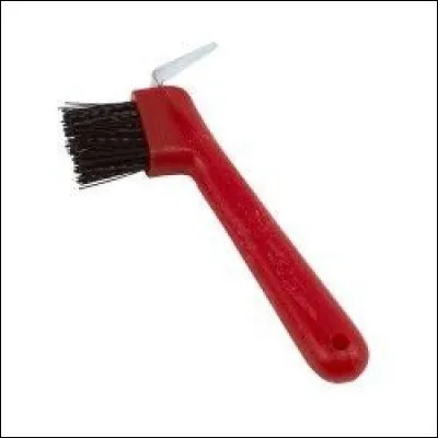 Comment s'appelle cette brosse ?