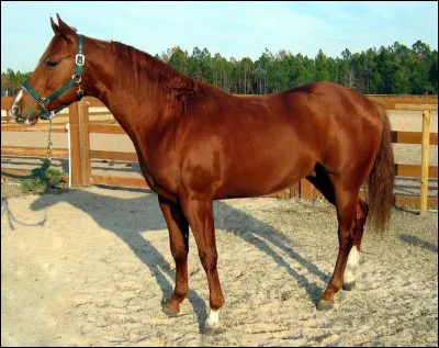 Quelle est cette robe ?