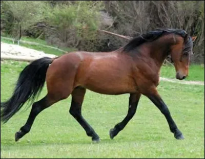 Quelle est cette robe ?