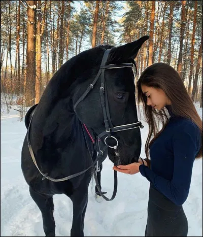 Comment aborder un cheval au pré ?