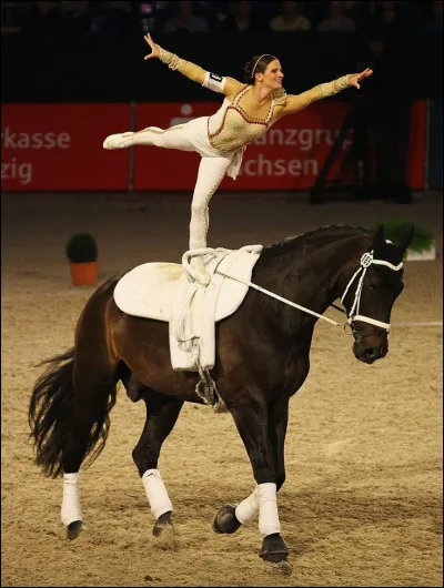 Quelle est cette discipline ?