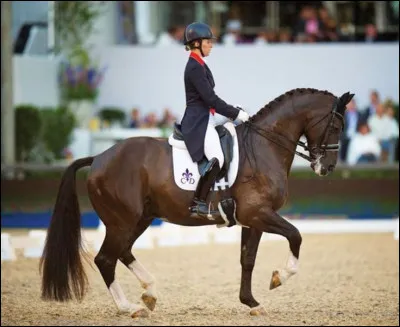 Quelle est cette discipline ?