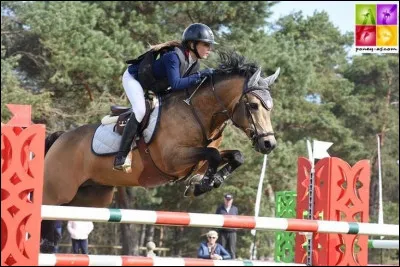 Quelle est cette discipline ?